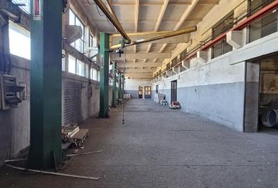 Spatiu industrial Mun. Calafat, Jud. Dolj  teren + constructii 9692mp+2931mp - 15