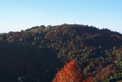 Spațiu comercial, în Lupșa - 2