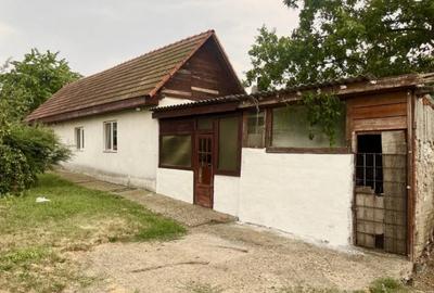Casă cu 5 camere cu Teren 3124 Mp în Central - 1