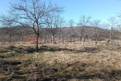 Teren de 3200000 mp, în Conop - 3