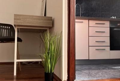 Garsoniera pentru investitie, 32 mp , zona strazii Bucegi , Manastur - 4