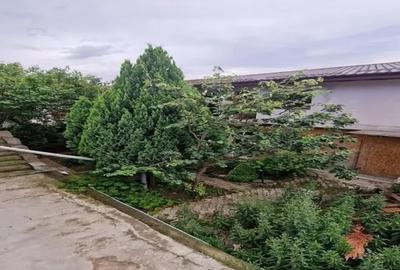 Descoperă Potențialul Casei Spațioase cu 6 Camere în Zona Viilor, București - 3