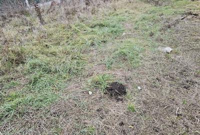Teren intravilan, 480mp utili, utilitati, zona Campului Manastur - 3