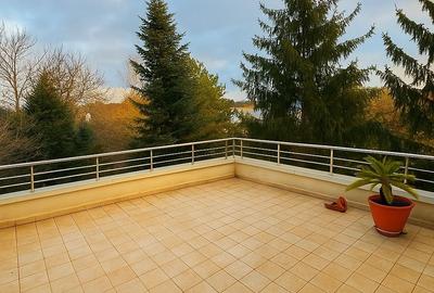 VILA SOMPTUOASA CU PONTON LA LAC SI TEREN GENEROS - REZIDENTA SAU INVESTITIE - 23