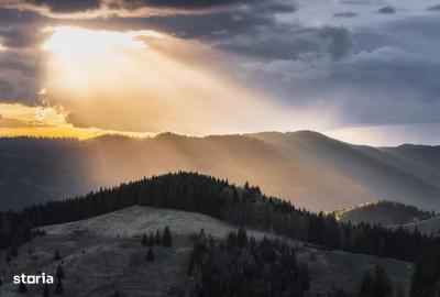 Spațiu comercial, în Vama - 4