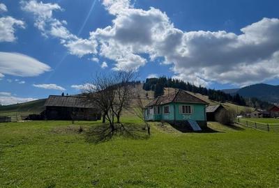 Casă cu 3 camere în Vale - 7