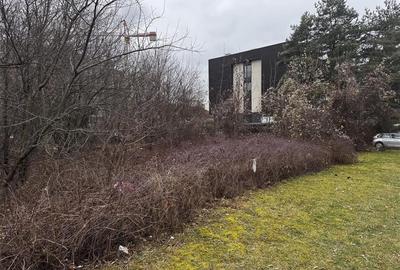 Teren de vanzare  oportunitate investitionala  Brasov, Cartier Astra - 2