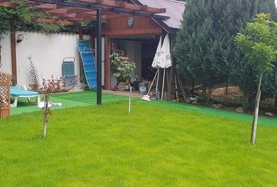 Afumati vila 8 camere , teren 1300 mp , piscina - 9