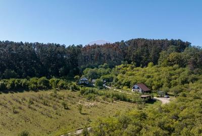 Comision 0%! Vila moderna, eficienta energetic, in mijlocul naturii - 23