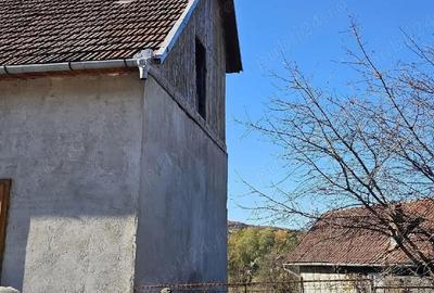 Casă în Ribița - 4