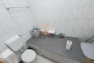 Apartament langa Parcul Central! - 11