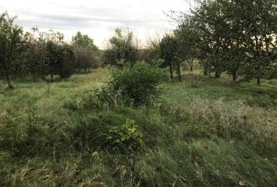 Teren Construcții intravilan de 500 mp, în Central - 13