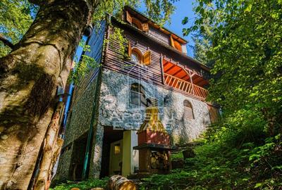 Pensiune | Casa de vacanta | 6 camere | 150mp utili | Statiunea Rausor - 9