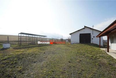 MICRO-FERMA CASA IN VOIVOZI - BIHOR - 25