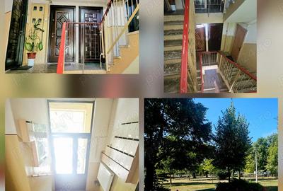 Apartament 2cam lic.auto de inchiriat - 5