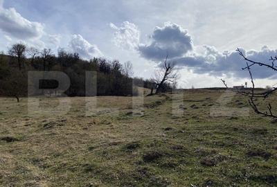 Teren extravilan in suprafata de 7500 mp la poalele Mesesului - 1