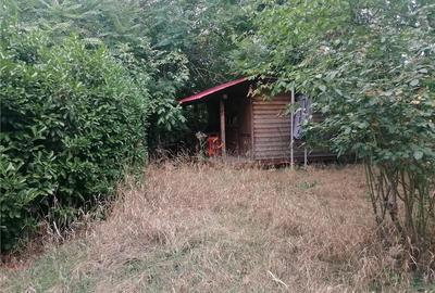 Spațiu comercial, de 550 mp, în Girocului - 17