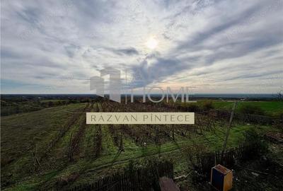 Pensiune 6 camere, teren 12713 mp, Dealul Mare, Urlati, Prahova - 7