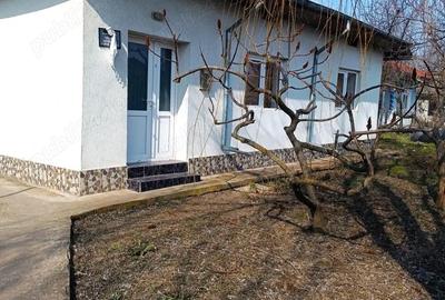 Casă cu Teren 2000 Mp în Chiselet - 7