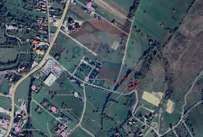 Teren Construcții intravilan de 6648 mp, în Tohanu Nou - 3