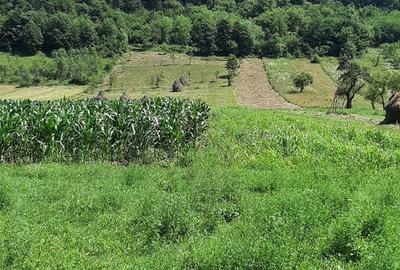 Teren de 6700 mp, în Buceava-Șoimuș - 2