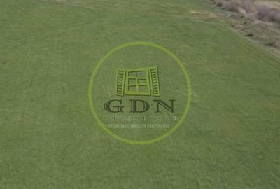 Teren Construcții intravilan de 9000 mp, în Stupini - 4