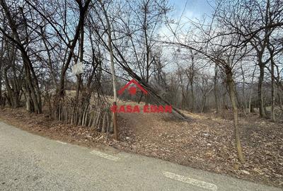 Casă cu Teren 3074 Mp în Cornu - 9