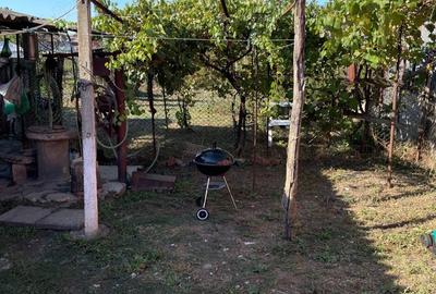 Casă cu 4 camere cu Teren 1150 Mp în Podari - 7