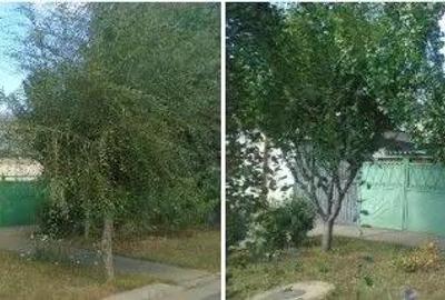 Casa si teren cota parte 3/16 si 3/32, Braila. ID: R2739910 Casa si teren cota parte 3/16 si 3/32, Braila. ID: R2739910 - 2