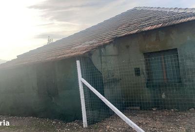 Teren de 7000 mp, în Exterior Vest - 4