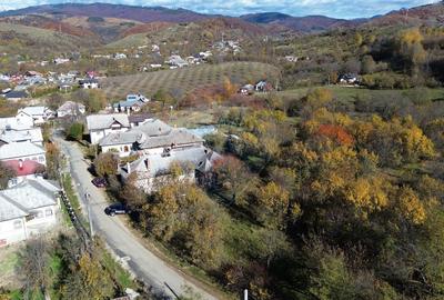 Teren si casa de vanzare la baza muntelui Iezer in Valea Mare Pravat - 18