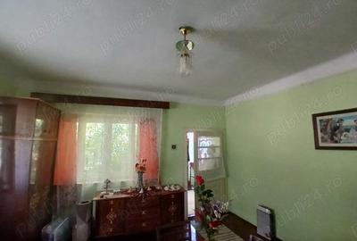Casă cu 3 camere cu Teren 11000 Mp în Nadiș - 2