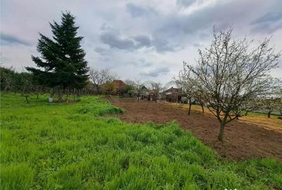 Casă cu 5 camere cu Teren 1700 Mp în Episcopia Bihorului - 4