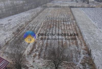 Casă individuală cu 2 camere cu Teren 2089 Mp în Slobozia (Roznov) - 3