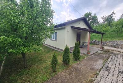 Casă + Anexă pe teren de 1.200 m² în Berislăvești, județul Vâlcea - 2