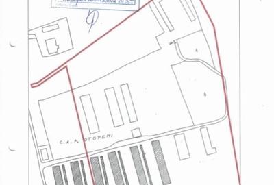 Teren 80.084 mp Otopeni - Intrarea Mesteacanului - 3