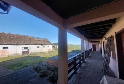 Casă individuală cu 14 camere cu Canalizare în Pișchia - 15