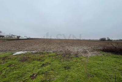 Teren Construcții intravilan de 4200 mp, în Merii - 6