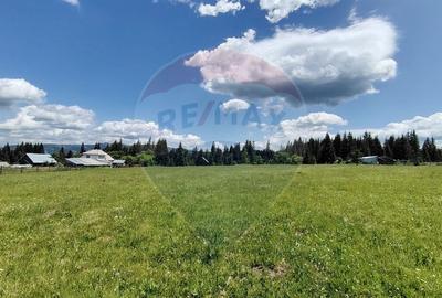 Teren 19,370mp Neagra Sarului / Strada ?estina - 11