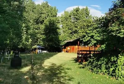 Teren in Contesti, Dambovita - 2