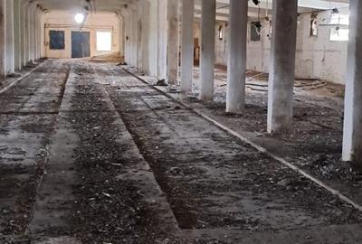 Depozit și hală industrială de vânzare – Orțișoara, complex industrial Avicola - 15