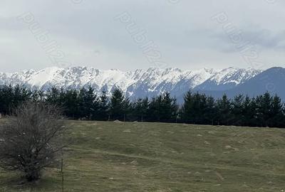 Teren de 5000 mp, în Central - 1