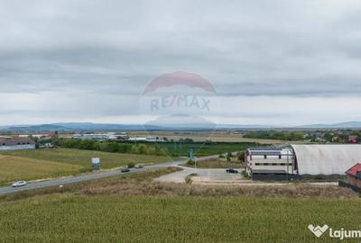 Teren de 790 mp, în Baciu - 11