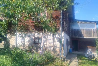 Casa de vanzare la Cacova Ierii - 2