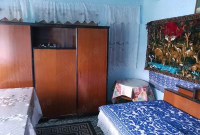 Casa batraneasca la tara - 3