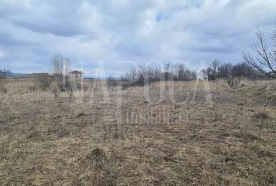 Teren intravilan pentru constructii de vanzare in Buna Ziua, Cluj Napoca - 3