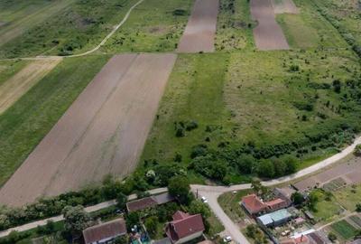 Teren extravilan Urseni, Timis - 1