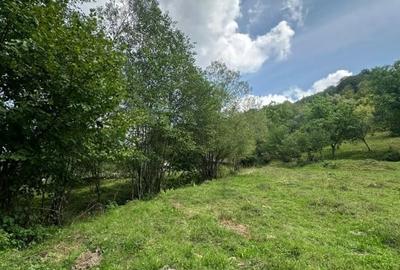 Teren 2 hectare pe Valea Ariesului, zona Scarita-Belioara, pret oportun 2 Eur/mp - 2