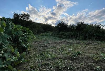 Casă cu 2 camere în Moldovenești - 1