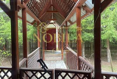 Casă cu 4 camere în Pârvulești